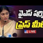 YS Sharmila Stresses Congress Win as Crucial for AP’s Special Category Status, Polavaram