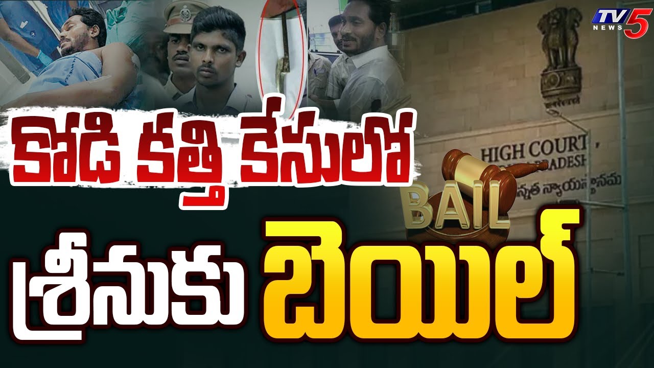 AP High Court Grants Conditional Bail to ‘Kodi Kathi Srinu’ for Alleged Attack on YS Jagan