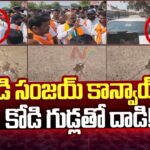 Bandi Sanjay convoy attacked with eggs in Hanamkonda