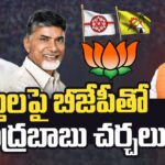 Chandrababu Naidu’s Delhi Tour: Expected Talks on Alliance with Janasena and BJP