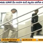 Chandrababu Naidu Supports Hanuma Vihari