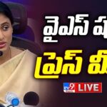 YS Sharmila Leads Protest for Special Category Status in Delhi