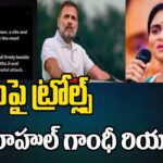 Rahul Gandhi Recats Over Social Media Messages On YS Sharmila