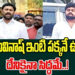 YS Viveka Driver Dastagiri Sensational Comments On YS Avinash Reddy