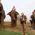 Lakhimai, Pradyumna and Phoolmai: 3 elephants whom PM Modi fed sugarcane during jungle safari