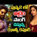 పుష్ప 2 సినిమాలో జాన్వీ కపూర్‌..ఏ పాత్రలో నటిస్తుందంటే