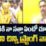Vijayawada TDP MP Candidate Kesineni Chinni First Reaction On TDP MP Candidates List
