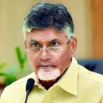 Two More Surveys Predicts TDP Return