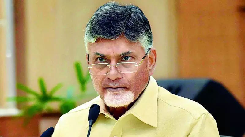 Two More Surveys Predicts TDP Return