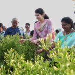 Nara Brahmani Cut Flowers Along With Women Workers
