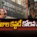 CBI Requests 5-Day Custody of BRS MLC Kavita in Delhi Liquor Scam