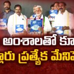 Vijay Sai Reddy Special Manifesto For Nellore