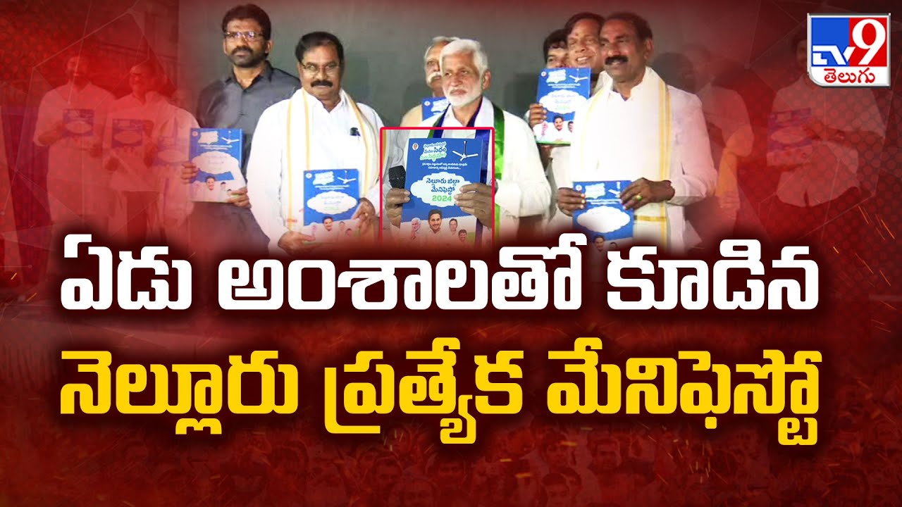 Vijay Sai Reddy Special Manifesto For Nellore