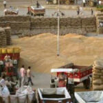 Paddy procurement to continue till last grain, says Telangana DyCM