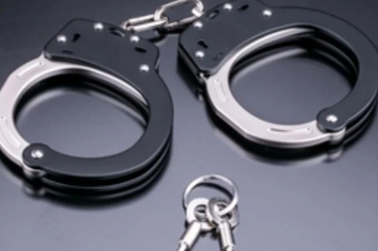 Two more Telangana officials held in sheep distribution scam