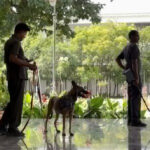 Bomb threat at Telangana Dy CM’s residence Praja Bhavan