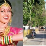 అతిలోక సుందరికి మరో అరుదైన గౌరవం!