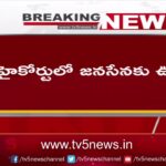 Big Relief To Janasena Party Over Symbol Issue : AP High Court