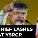 Don’t Use Jana Sena Flags: TDP Chief Chandrababu Naidu Lashes Out At YSRCP