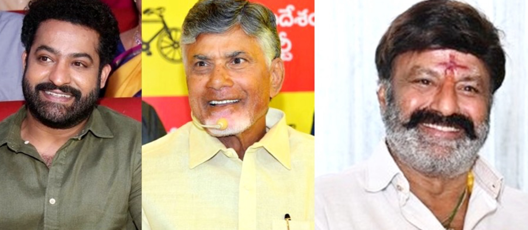 Andhra Assembly polls: Jr NTR congratulates Chandrababu Naidu, Balakrishna