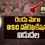 AP: Mega DSC To Be Released on June 30