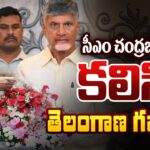 Telangana Governer Radhakrishnan Meets AP CM Nara Chandrababu Naidu