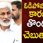 Vijaya Sai Reddy’s Comments After His Defeat in AP Elections 2024
