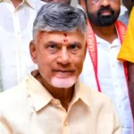 Chandrababu Exploring Investment Avenues From Tesla, Other US Companies