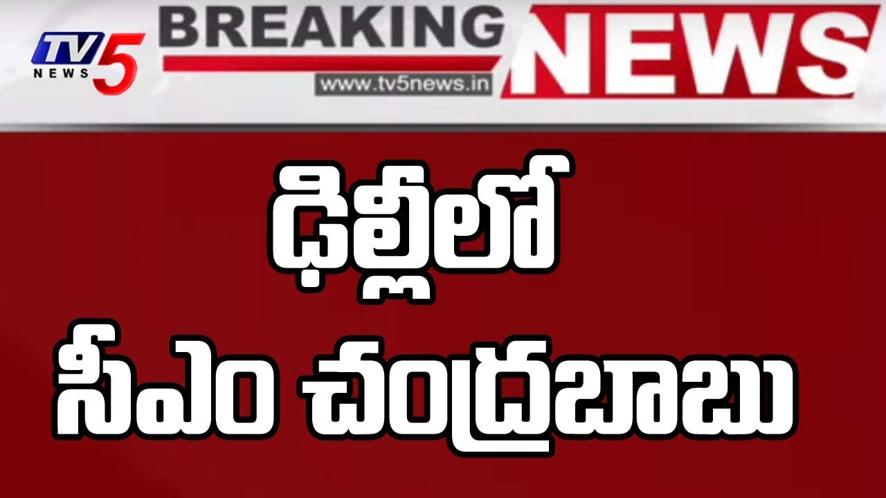 AP CM Chandrababu Naidu To Attend NITI Aayog Meeting In Delhi