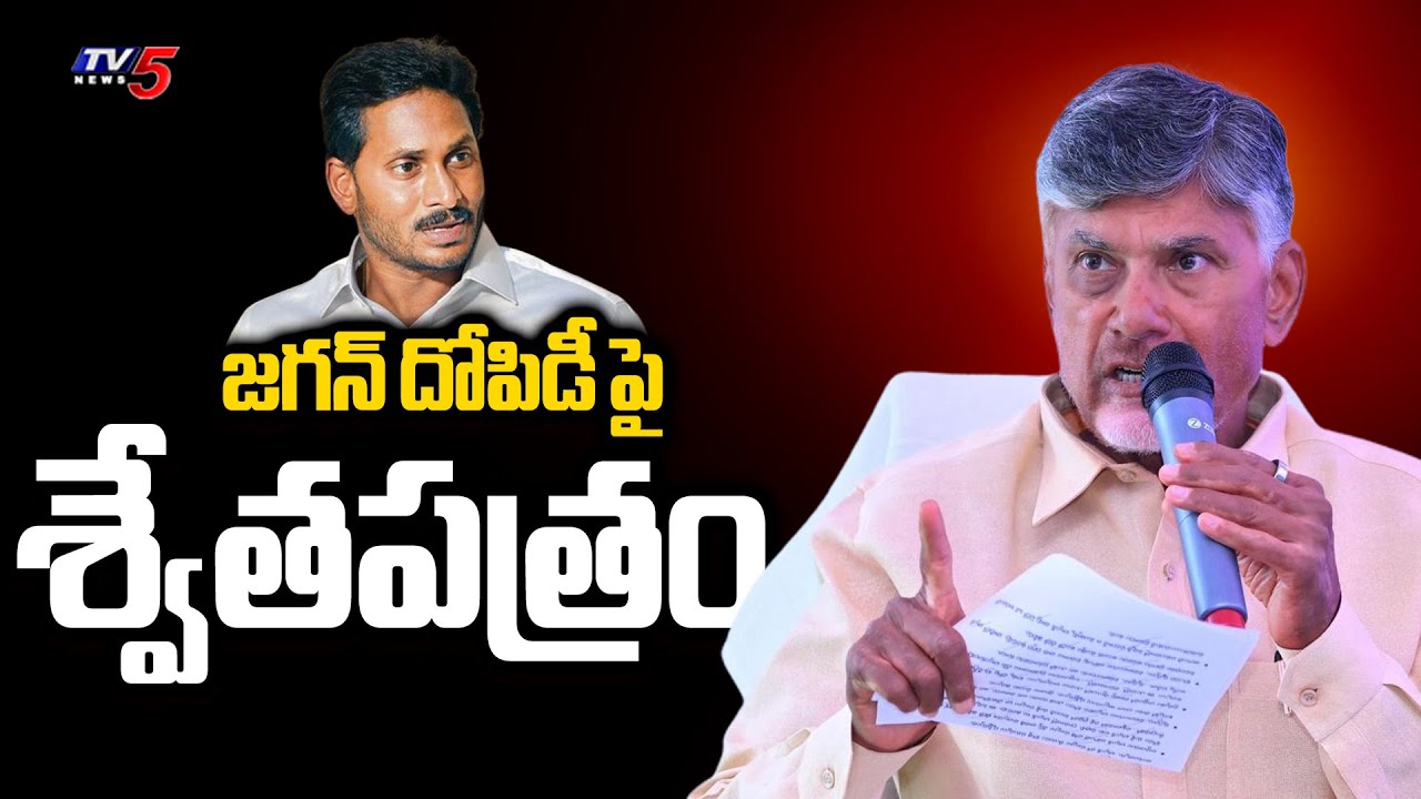 AP CM Chandrababu Will Release Swetha Patram on Land Grabbing