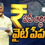 CM Chandrababu releases White Paper on AP Finance