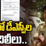 Transfers Of Several DSPs In AP