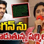 YS Sharmila Sensational Tweet On YS Jagan
