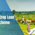 Crop loans of all eligible farmers to be waived, says Telangana minister