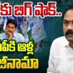 Alla Nani Good Bye To YSRCP Party