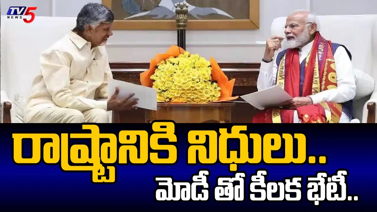 AP CM Chandrababu Naidu will meet PM Modi And Union Ministers