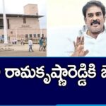 AP High Court Grants Bail To YSRCP Pinnelli Ramakrishna Reddy