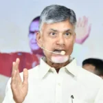 Chandrababu seeks Fear of punishment To Deters criminal Activity