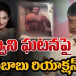 CM Chandrababu Responds on Mumbai Actress Kadambari Jethwani Issue