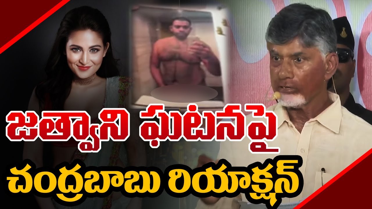 CM Chandrababu Responds on Mumbai Actress Kadambari Jethwani Issue