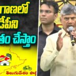 CM Chandrababu Speech After Meeting With Telangana Leaders