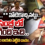 Danam Nagender Facts About BRS MLAs Behavior At Assembly