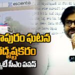 Deputy CM Pawankalyan On Atchutapuram SEZ Company Fire Incident