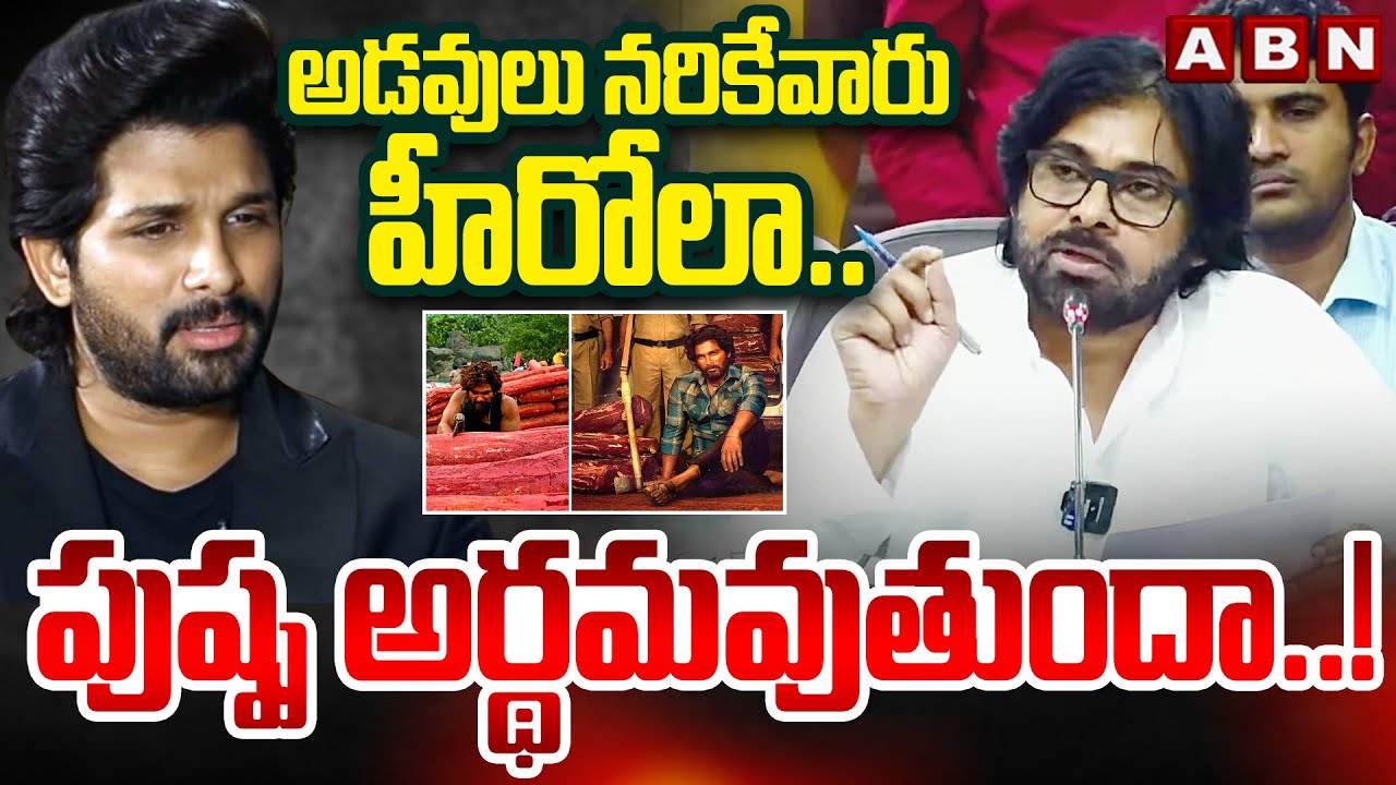 Dy CM Pawan Kalyan Satires On Pushpa Movie