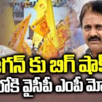 YSRCP MP Mopidevi Joins In TDP