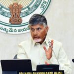 Guilty will not be spared, says Naidu on animal fat in Tirumala laddu