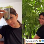 Mrunal Thakur conducts a groundbreaking botanical experiment