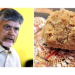 Chandrababu Alleges Animal Fat Used In Tirupati ‘Laddus’ By previous Govt.