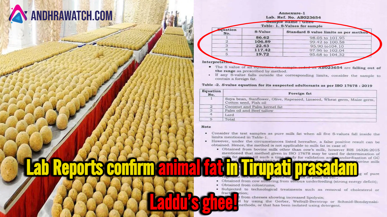 Lab Reports confirm animal fat in Tirupati prasadam Laddu’s ghee!
