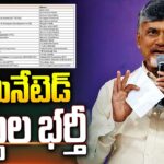 CM Chandrababu Released Nominated Posts